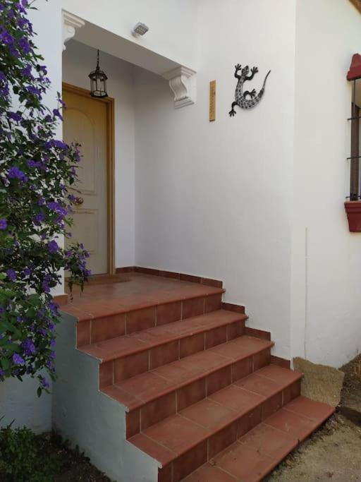 Agradable Casa Con Piscina En La Serrania. 아리아테 외부 사진